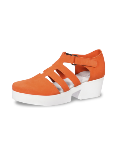 Ubuz trotters
