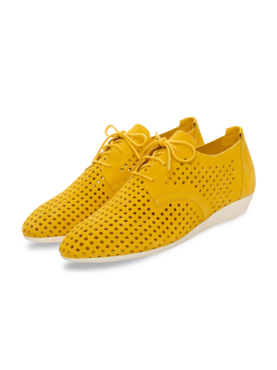 Onymhi derbies