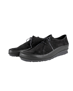 Baroha derbies