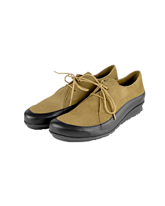 Baroha derbies