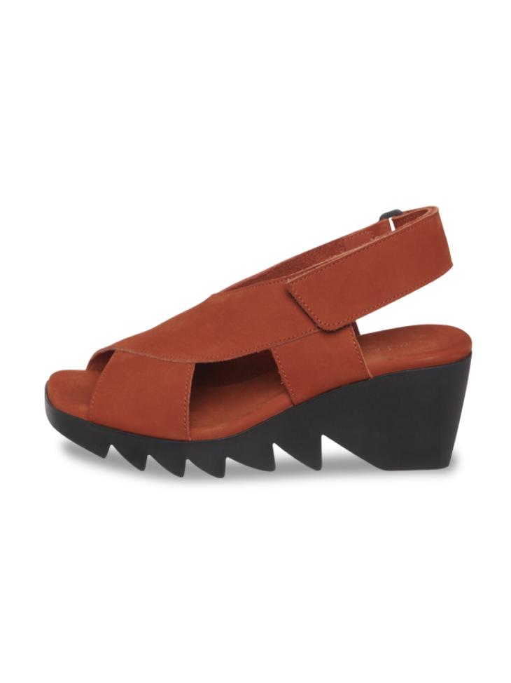 Arche himali on sale