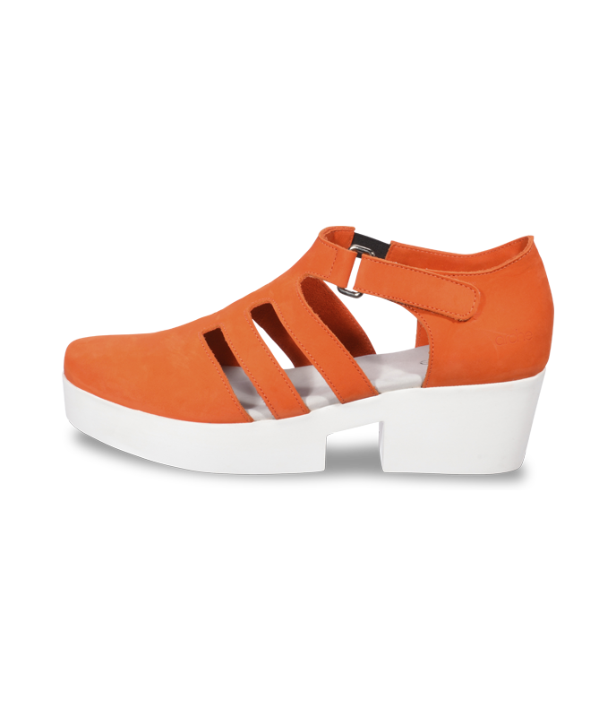 Ubuz trotters