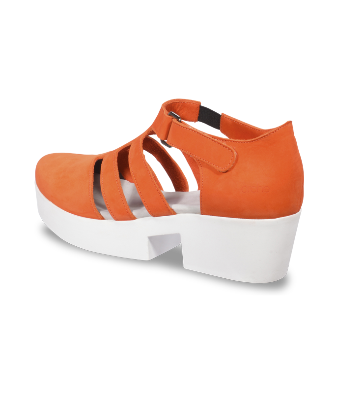 Ubuz trotters
