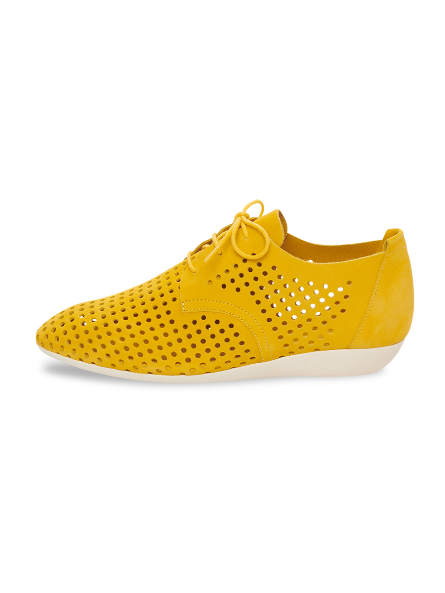 Onymhi derbies