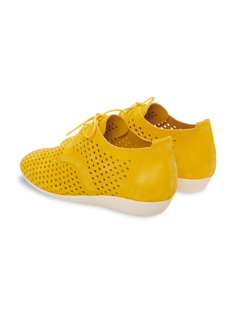 Onymhi derbies