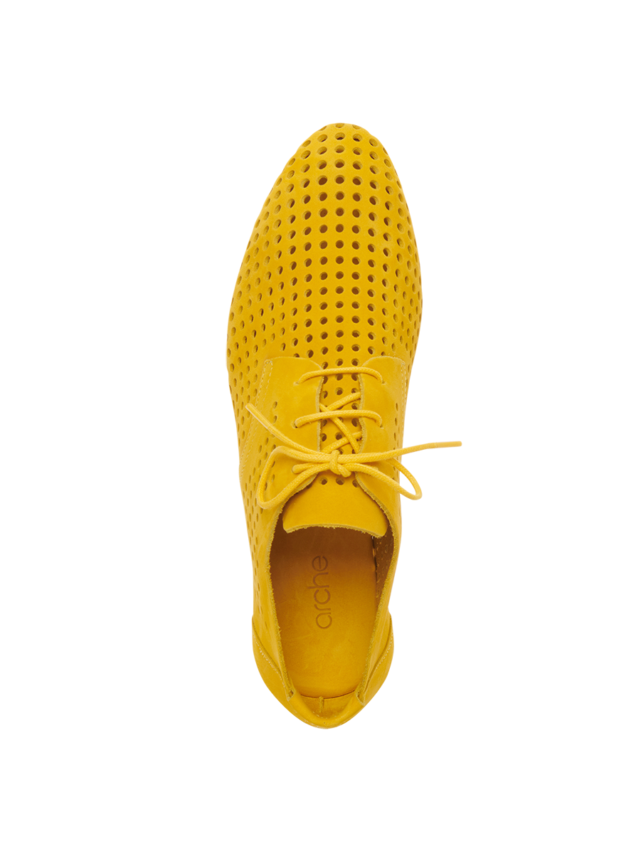 Onymhi derbies