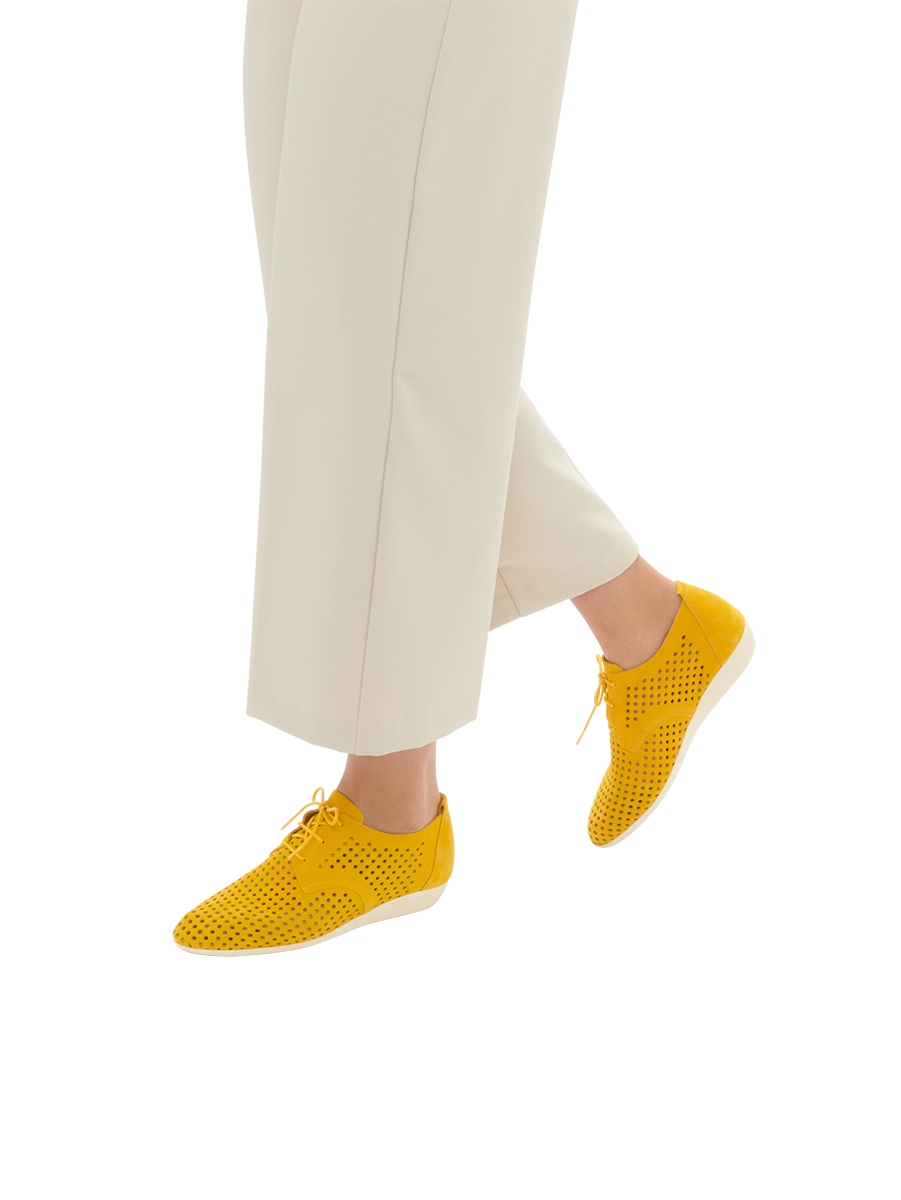 Onymhi derbies